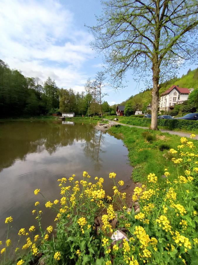 Ferienwohnung Sauerland Burgfenster Lennestadt Esterno foto